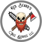 red beard logo on white